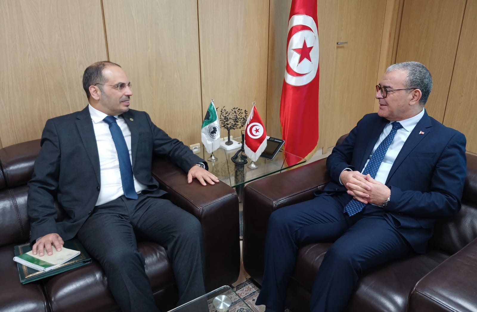 وزير الإقتصاد يلتقي بالمدير التنفيذي  ممثل مجموعة تونس بالبنك الإفريقي للتنمية